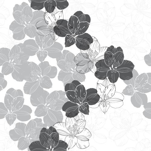 Alstroemeria. Vector flowers alstroemeria, monochrome contours and silhouettes on white