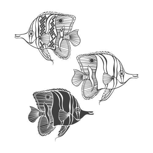 Vector image three decorative butterfly fish on white