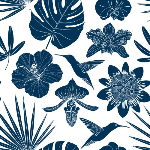 Hibiscus. Vector hummingbird orchids hibiscus passionflower palm leaves monstera on white