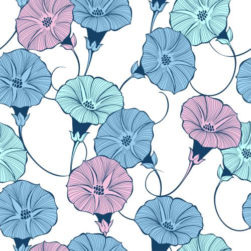 Bindweed. Vector morning glory flowers on white