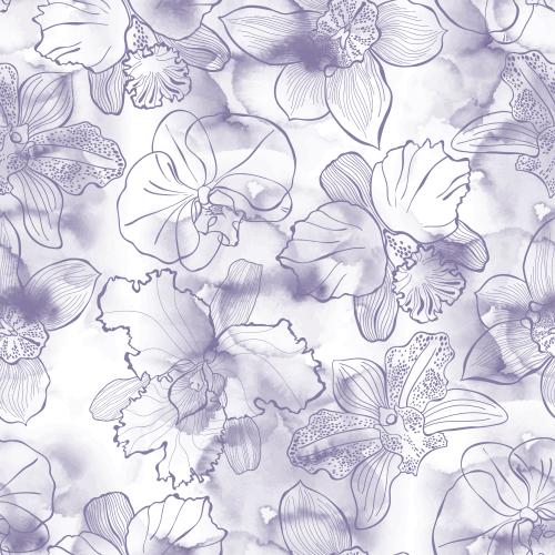 Illustration orchids on watercolor