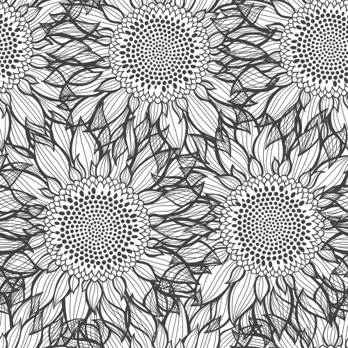Sunflower. Vector sunflowers on white