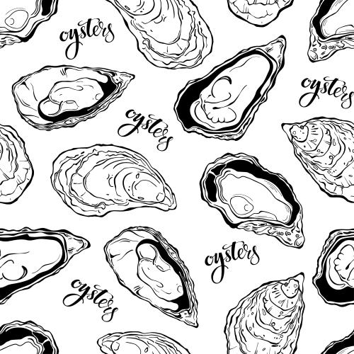 Oyster. Vector oysters, inscription oysters on white