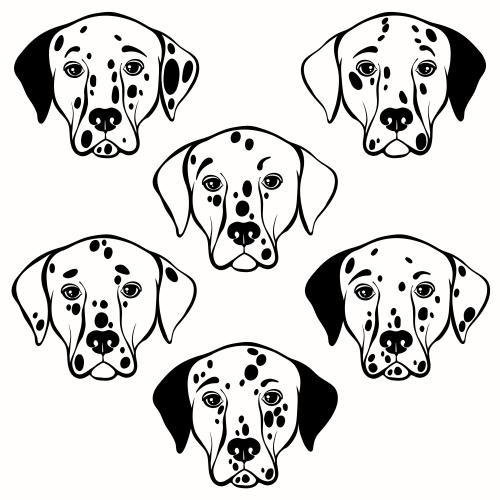 Dolmatian. Vector six cute dalmatian muzzles on white