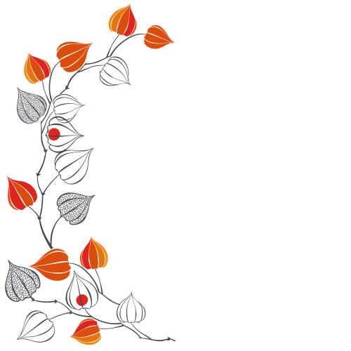 Autumn. Vector physalis, vertical branch, place for text on white