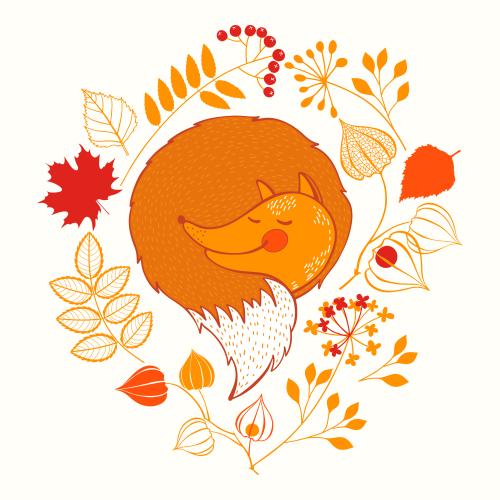 Fox. Vector cartoon sleeping fox autumn flowers and leaves on white