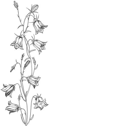 Vector image bells, black outlines of flowers, space for text on white
