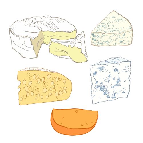 French. Vector five types of cheese on white
