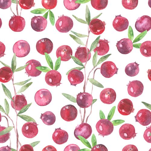 Raster image cranberry on white