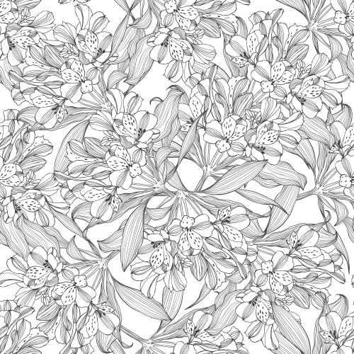 Alstroemeria. Vector flowers alstromeria, contours on white