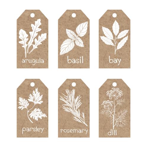 Basil. Vector craft tags with culinary herbs