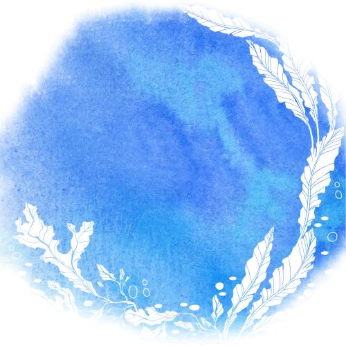 Seaweed. Vector white seaweed silhouettes blue watercolor round spot with text area
