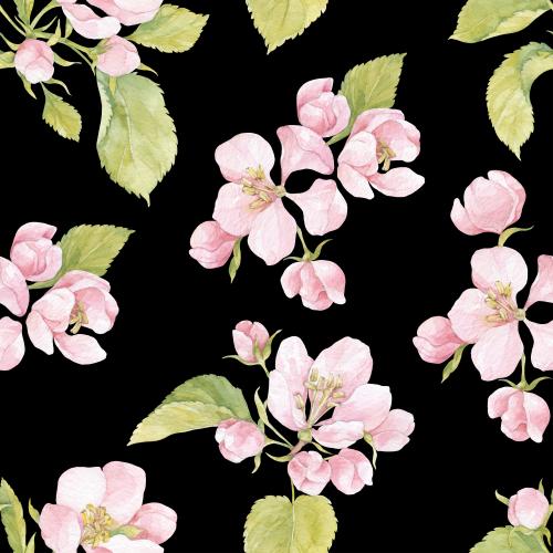 Raster image watercolor apple tree flowers on black