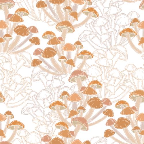 Mushroom. Vector puffballs colored contours and silhouettes on white