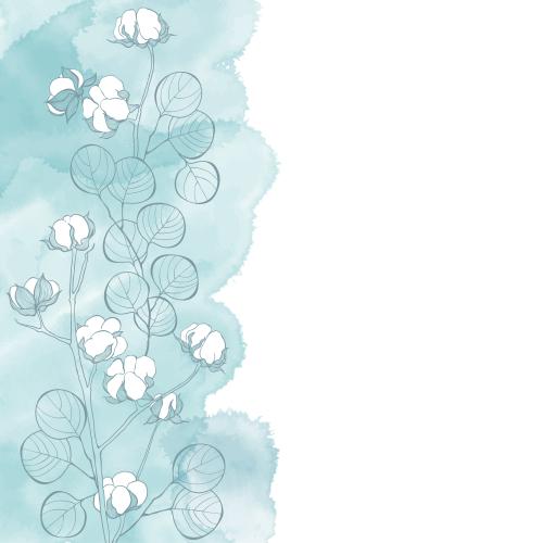 Eucalyptus. Vector cotton and eucalyptus branches on a blue watercolor fragment, space for text on white