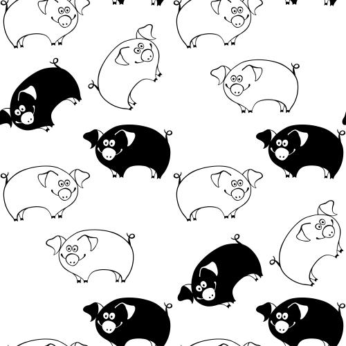 Pig. Vector cute cartoon pigs on white