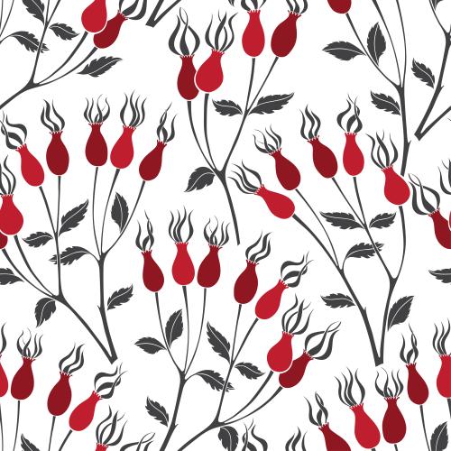 Rosehip. Vector rosehip twigs with red berries on white