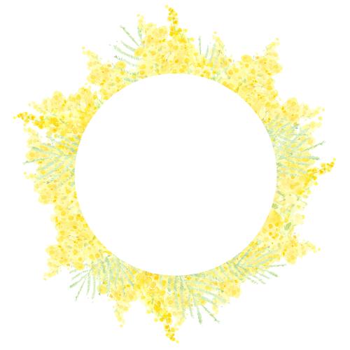 Raster image watercolor mimosa, round frame on white