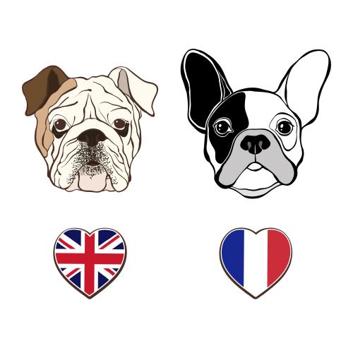 English. Vector heads of english and french bulldogs, british and french flags in the shape of a heart