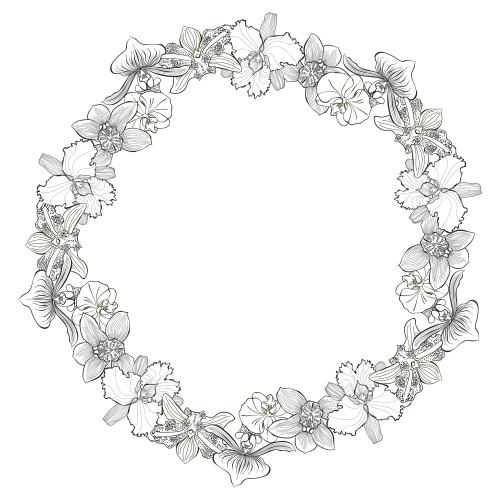 Illustration orchids round frame on white