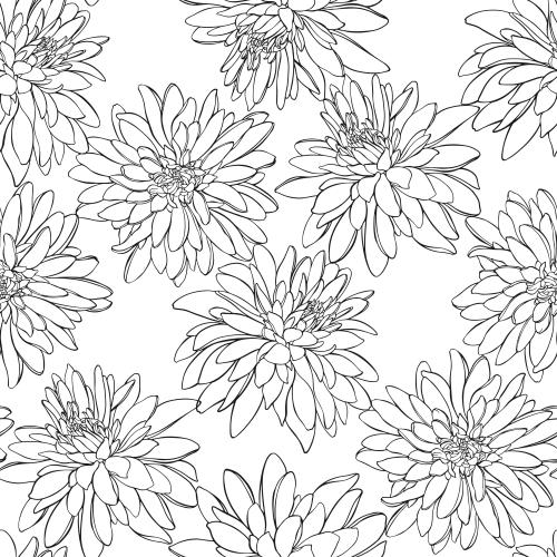 Rudbeckia. Vector rudbeckia contours flowers on white