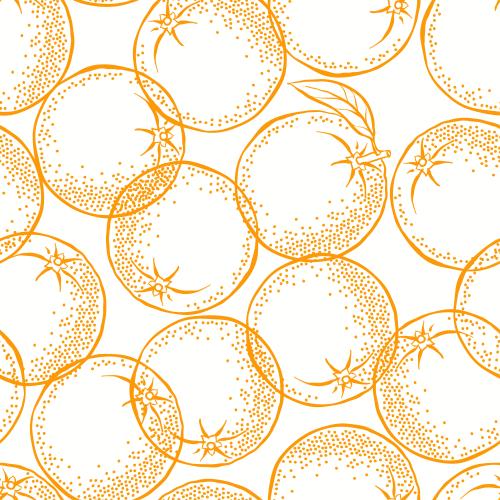 Orange. Vector oranges on white