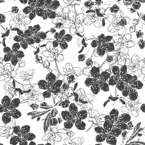 Bud. Vector cherry flowers contours and silhouettes on white