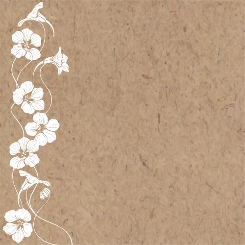 Nasturtium. Vector nasturtium text area on craft