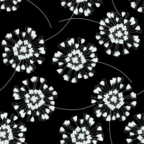 Vector image stylized flowers on black
