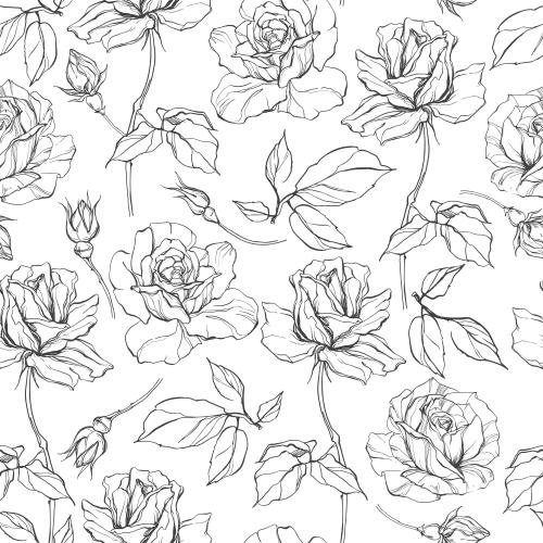 Bud. Vector roses on white