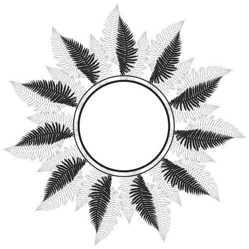 Fern. Vector round frame with fern leaves black outlines and silhouettes on white