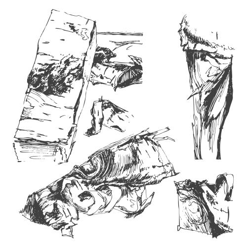 Birch. Vector birch firewood, sketch on white