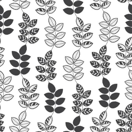 Vector image black silhouettes and decorative contours of branches with leaves on white