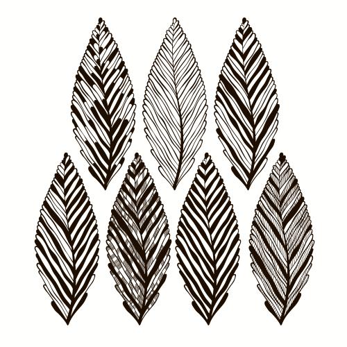 Vector image abstract leaves seven decorative isolated elements on white