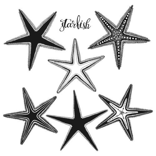 Illustration sea stars black silhouettes and contours on white six options