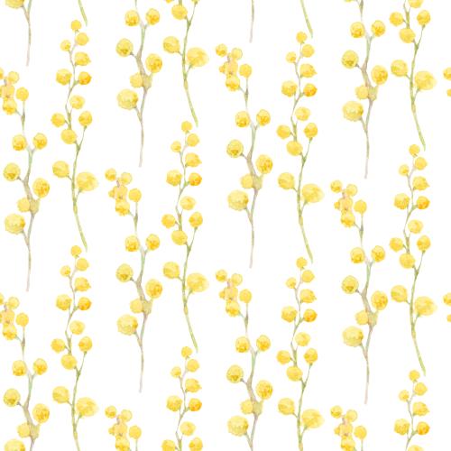 Raster image mimosa, watercolor branches on white
