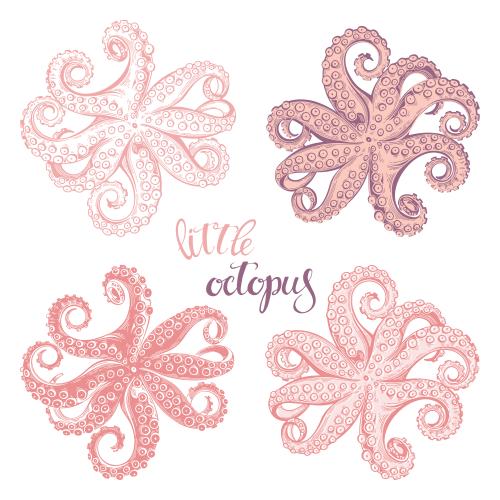 Octopus. Vector octopuses four variants on white