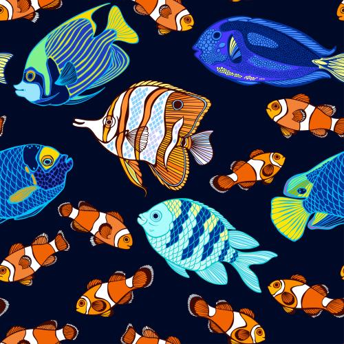 Illustration colorful tropical fish on dark blue