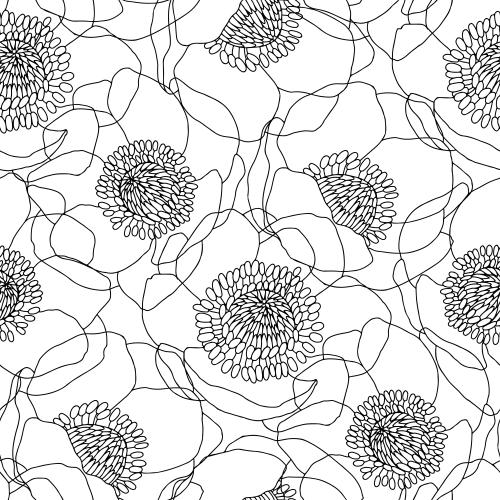 Anemone. Vector anemones black outlines on white