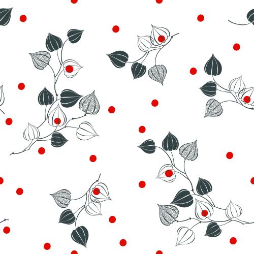Autumn. Vector physalis monochrome branches and red berries on white