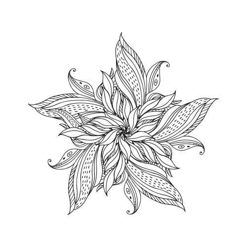 Vector image decorative flower, mandala on white