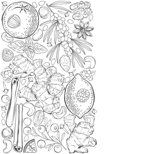 Mint. Vector vitamin fruits and berries lemon orange ginger cinnamon cranberry cloudberries raspberry sea buckthorn almond walnut hazelnut cashew place for text on white