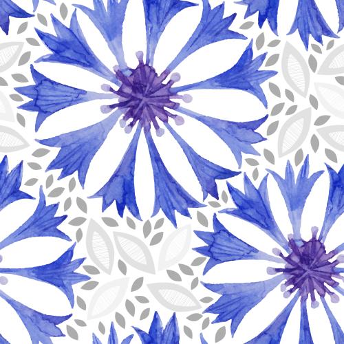 Cornflower. Vector cornflowers decorative leaves on white