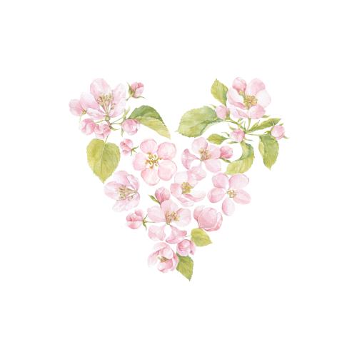Raster image watercolor flowers and apple tree leaves botanical composition in the shape of a heart on white