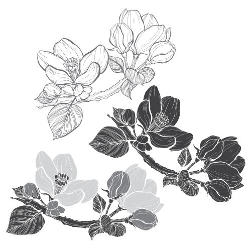 Apple tree. Vector apple tree branches with flowers and buds three options
