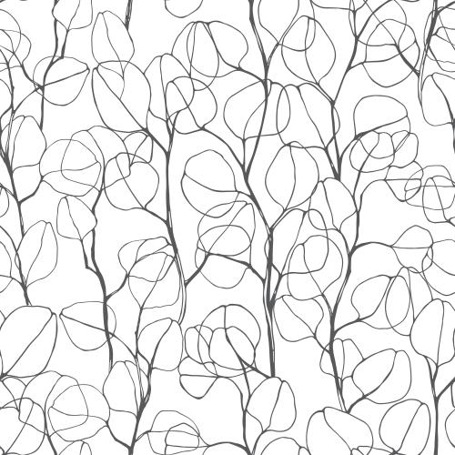 Eucalyptus. Vector monochrome eucalyptus branches contours on white
