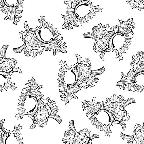 Shell. Vector Pattern shells black outlines on white