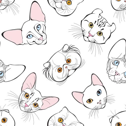 Female. Vector cat faces of different breeds on white