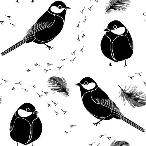 Feather. Vector little birds feathers footprints on white