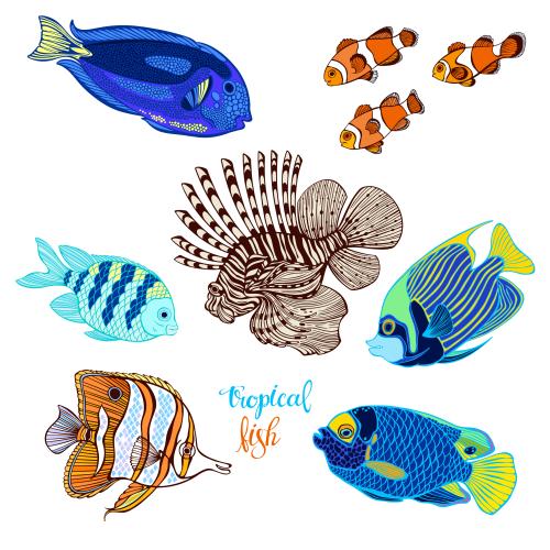 Vector image cartoon tropical fish on white